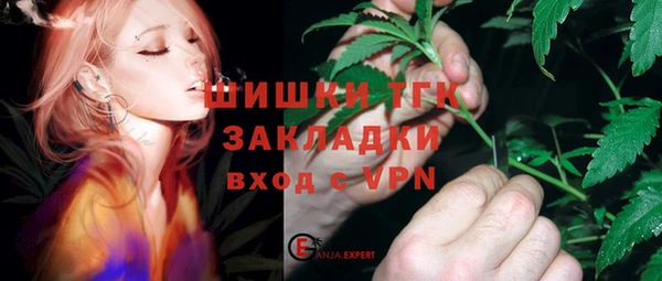 эйфоретик Гусев