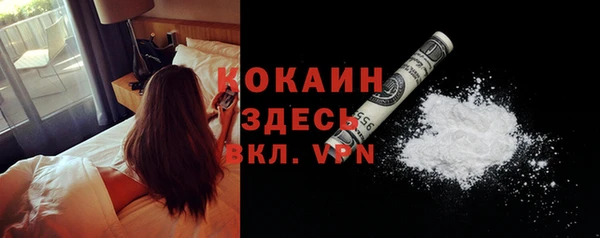 эйфоретик Гусев
