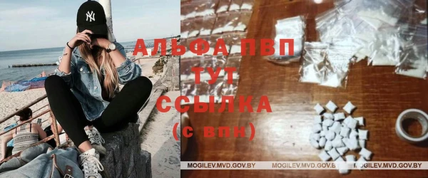 эйфоретик Гусев