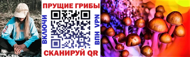 Купить  Калач-на-Дону  Псилоцибиновые грибы ЛСД 